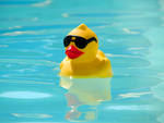 eend