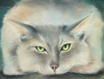 Poes
