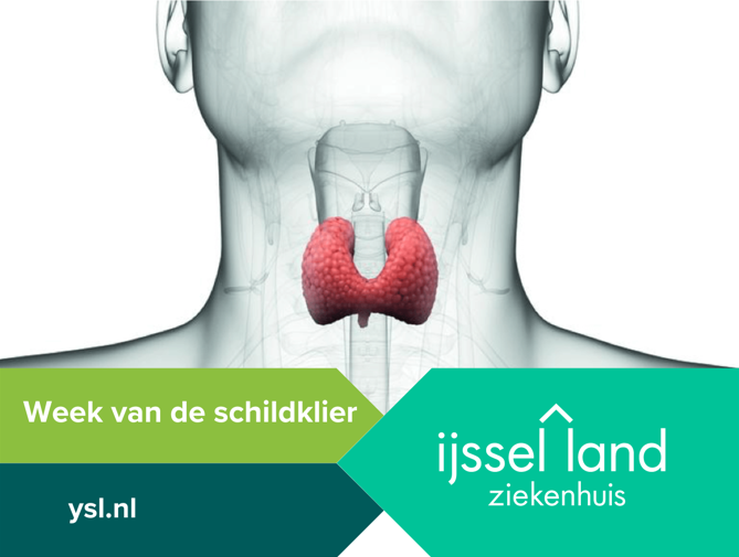 De schildklier is een belangrijke orgaan - IJsselland Ziekenhuis